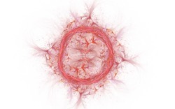 2014 05 04 Test 4 991-white.jpg